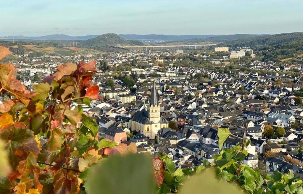 Ferienwohnung Landskroner Blick 바트노이에나르아르바일러 외부 사진
