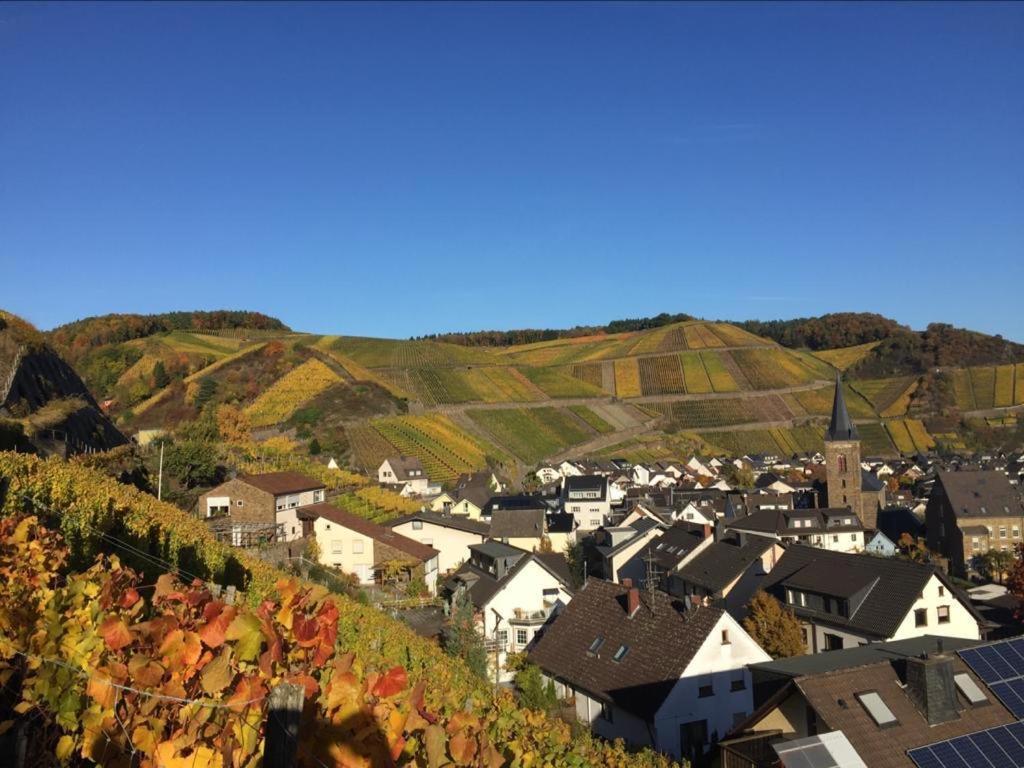 Ferienwohnung Landskroner Blick 바트노이에나르아르바일러 외부 사진
