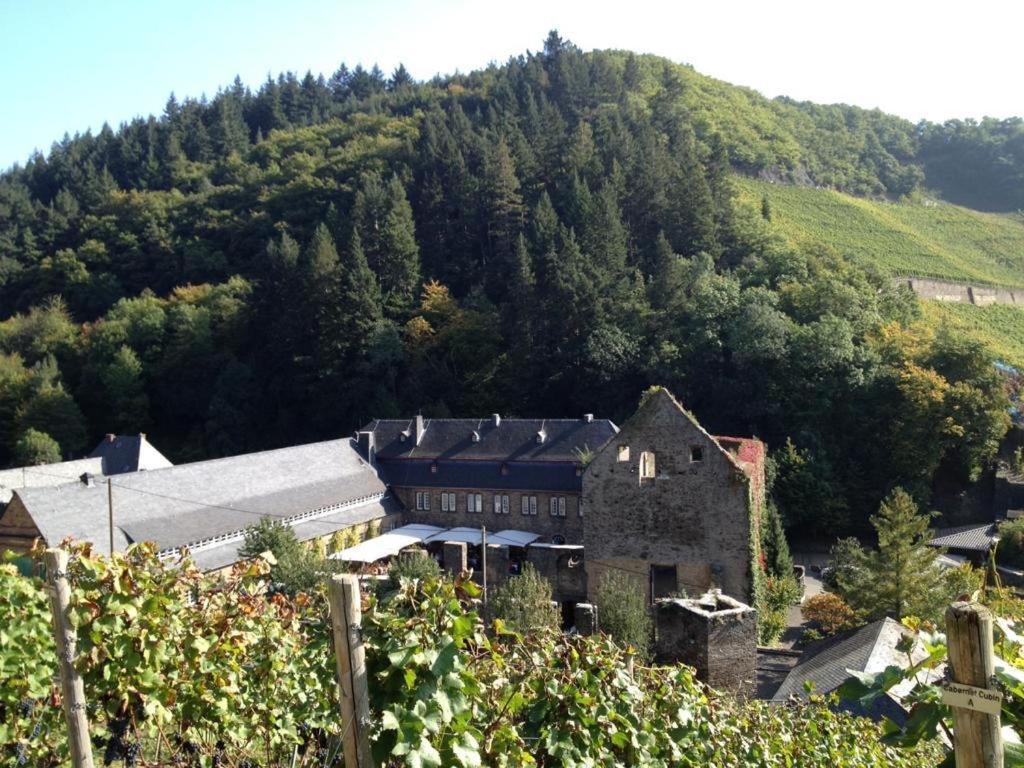 Ferienwohnung Landskroner Blick 바트노이에나르아르바일러 외부 사진